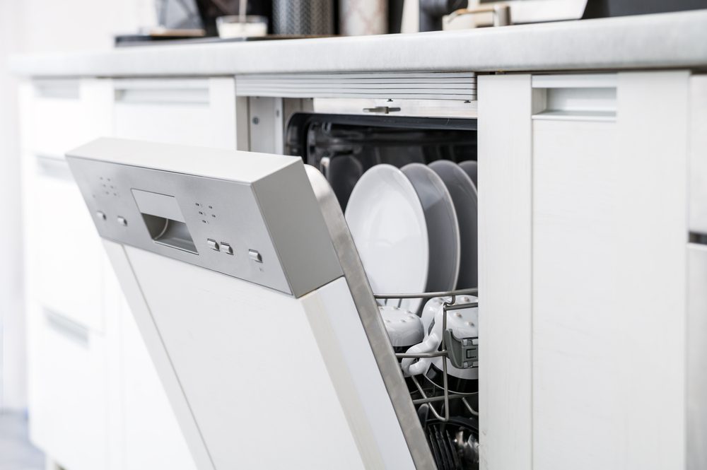 Open dishwasher with clean plates.