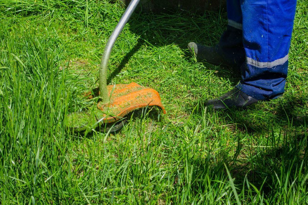 Lawn equipment.